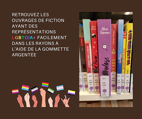 LGBTQIA light