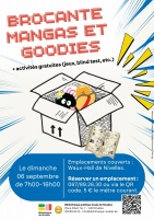 Brocante mangas et goodies